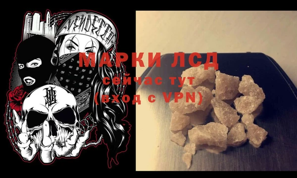 спиды Аркадак